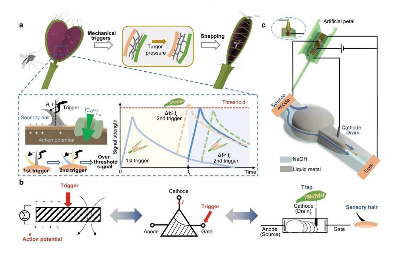 Liquid metal-based electronic logic device that mimics intelligent prey-capture mechanism of Venus fl